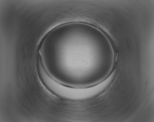 X0000084031500200702232244