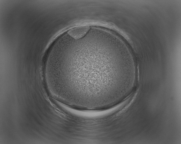 X0000084031501200702232244