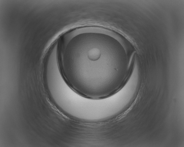 X0000084031502200702232244