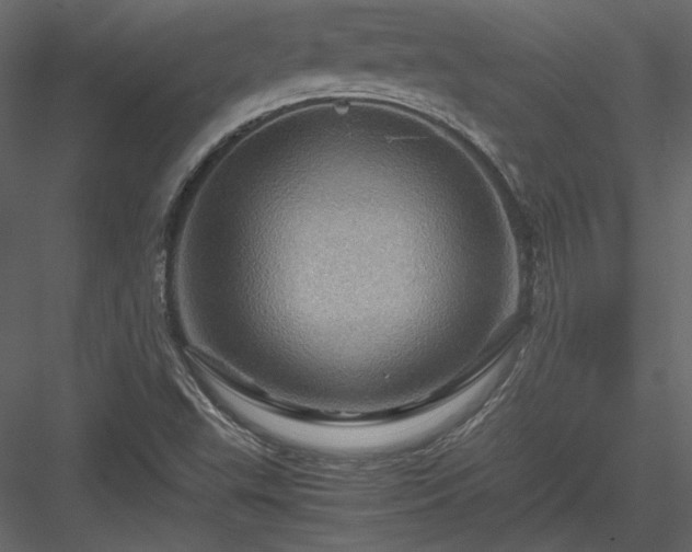 X0000084031503200702232244