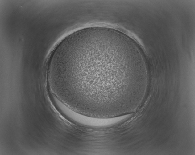 X0000084031504200702232244