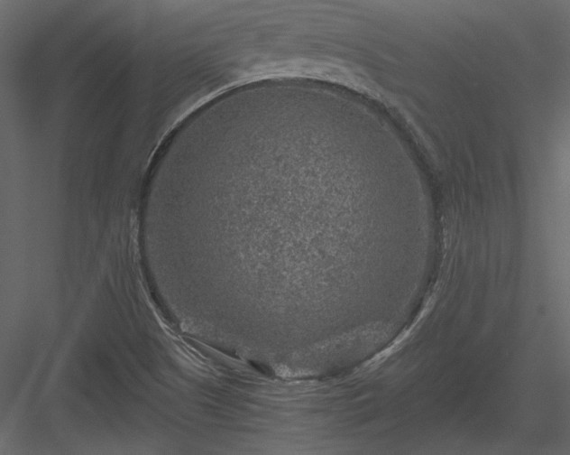 X0000084031505200702232244