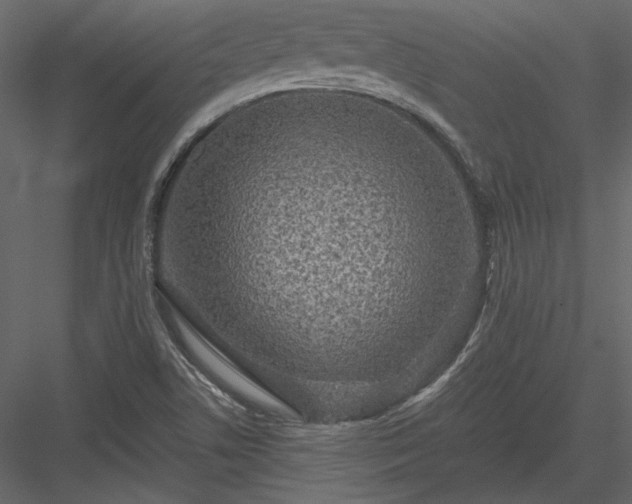 X0000084031506200702232244