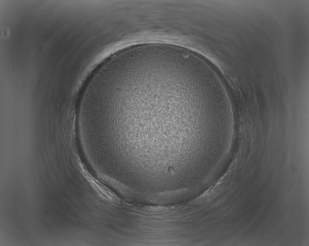 X0000084031507200702232244