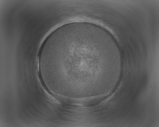 X0000084031509200702232244