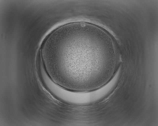 X0000084031510200702232244