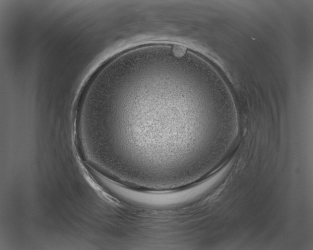 X0000084031511200702232244