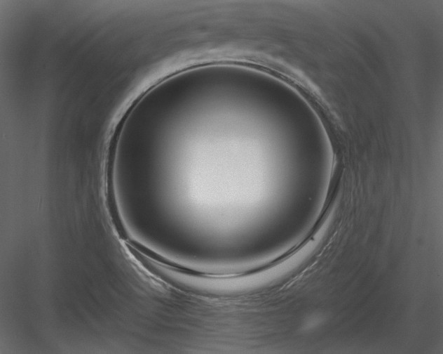 X0000084031512200702232244