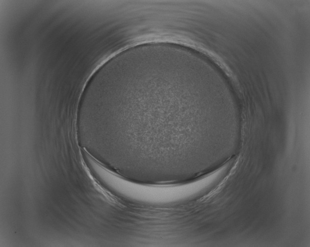 X0000084031513200702232244