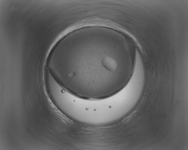 X0000084031514200702232244