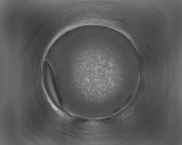 X0000084031515200702232244