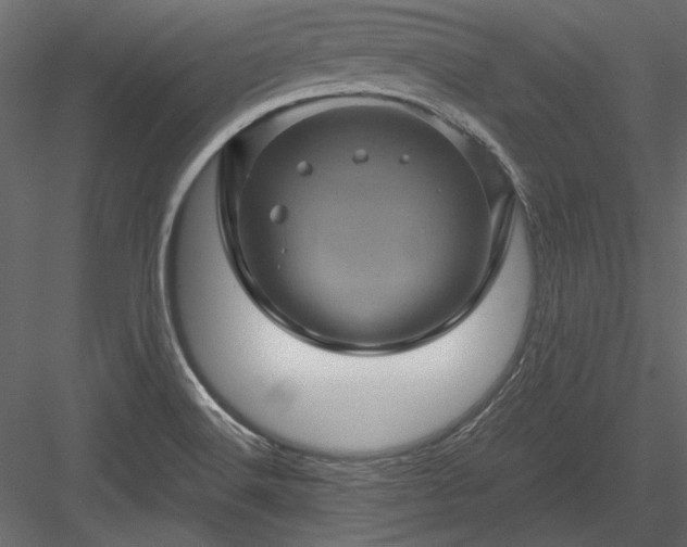 X0000084031516200702232244