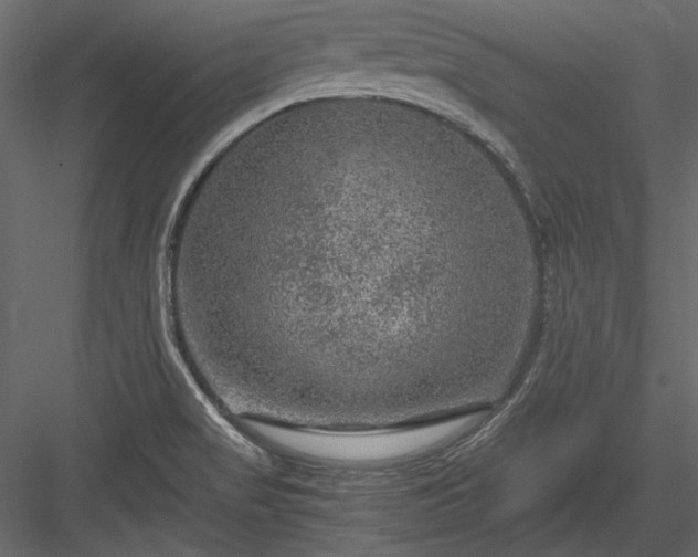 X0000084031517200702232245