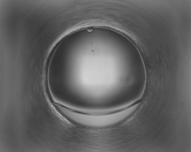 X0000084031518200702232245