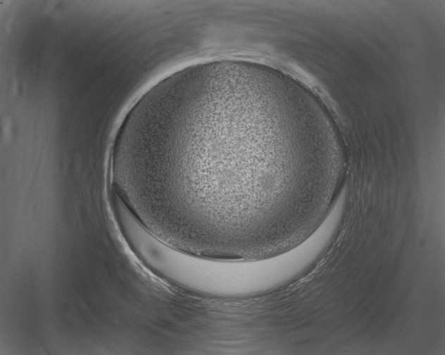 X0000084031520200702232245