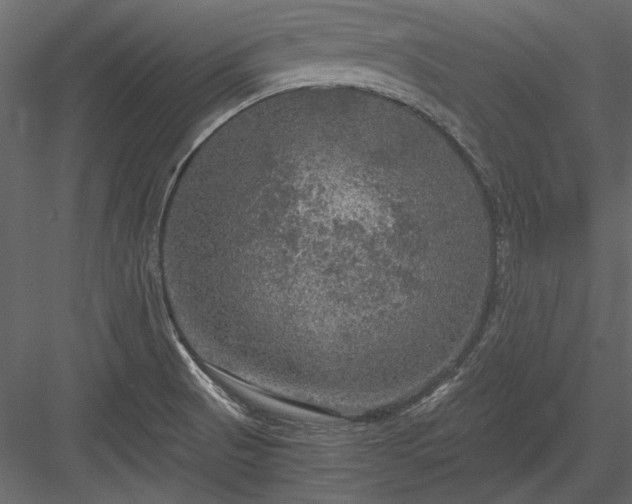 X0000084031521200702232245