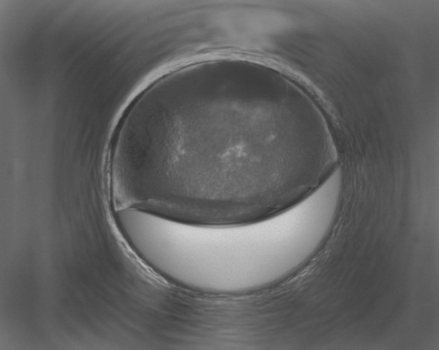 X0000084031522200702232245