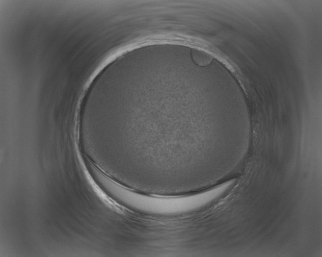 X0000084031523200702232245