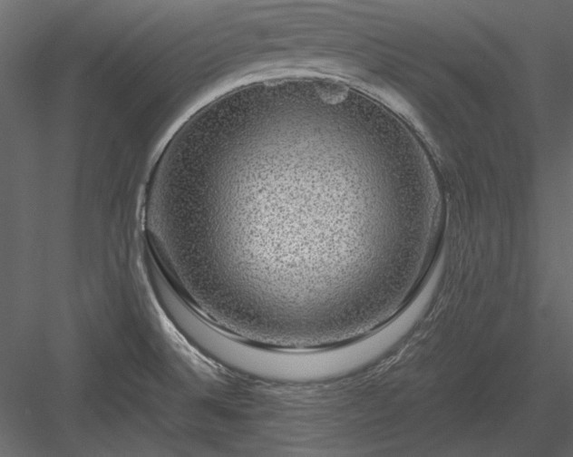 X0000084031524200702232245