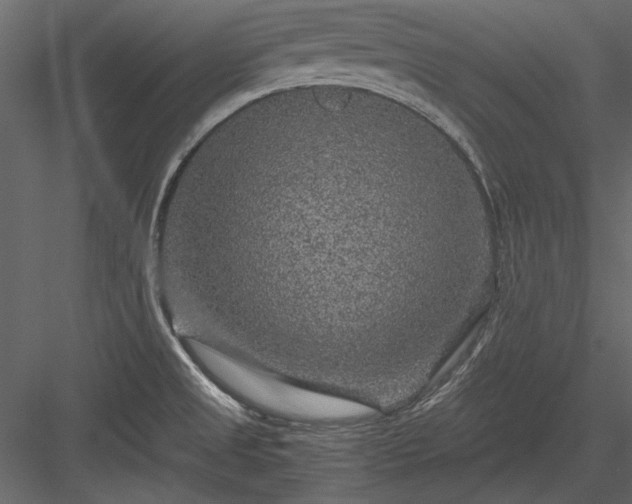 X0000084031525200702232245