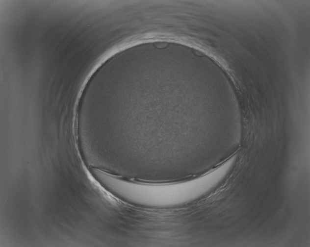 X0000084031527200702232245