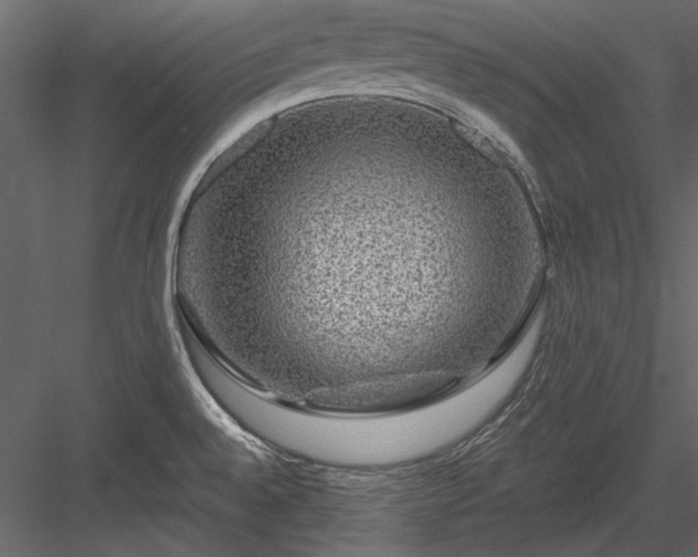 X0000084031528200702232245