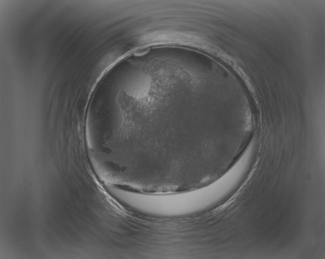 X0000084031529200702232245