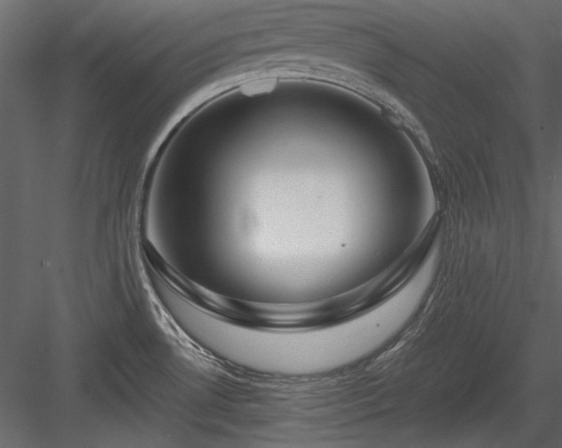 X0000084031530200702232245