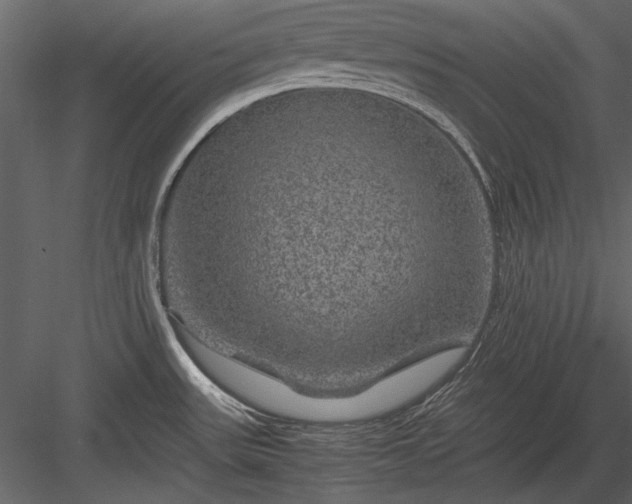 X0000084031531200702232245