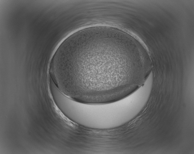 X0000084031532200702232245