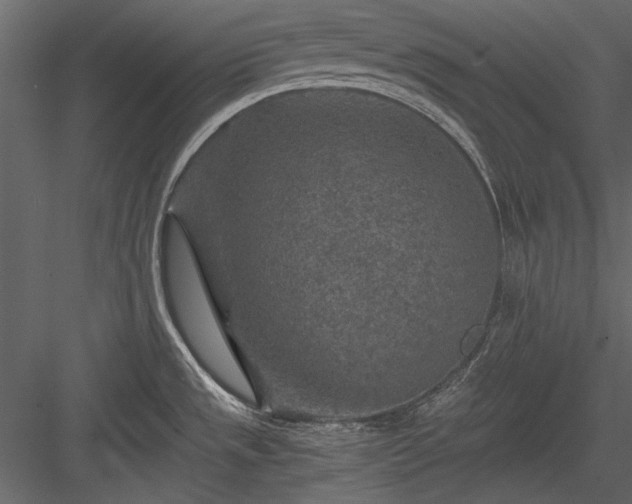 X0000084031533200702232245