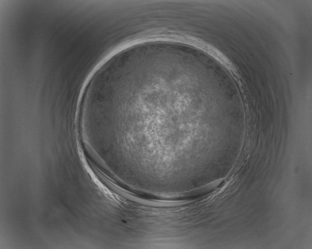 X0000084031536200702232245