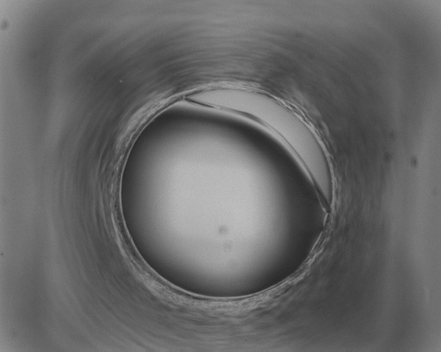 X0000084030001200703022134