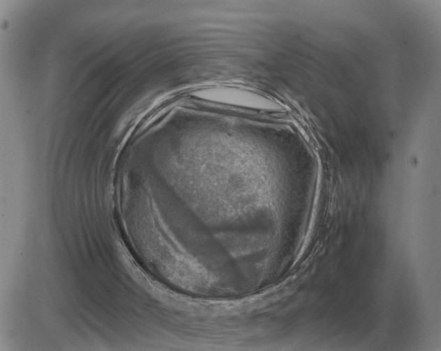 X0000084030002200703022134