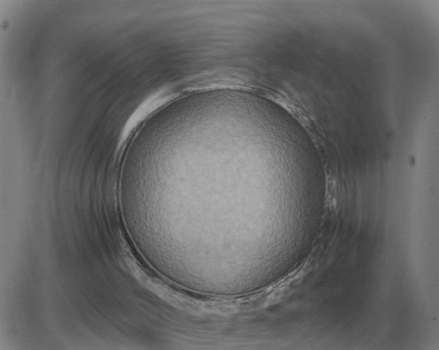 X0000084030004200703022134