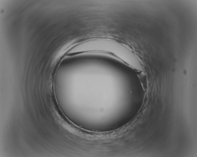 X0000084030005200703022134