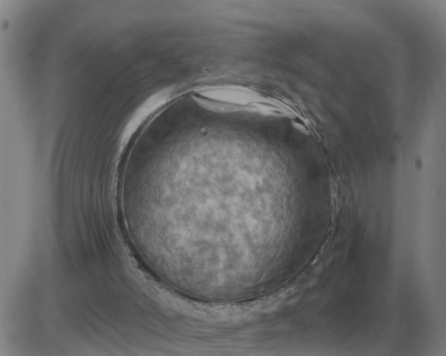 X0000084030006200703022134