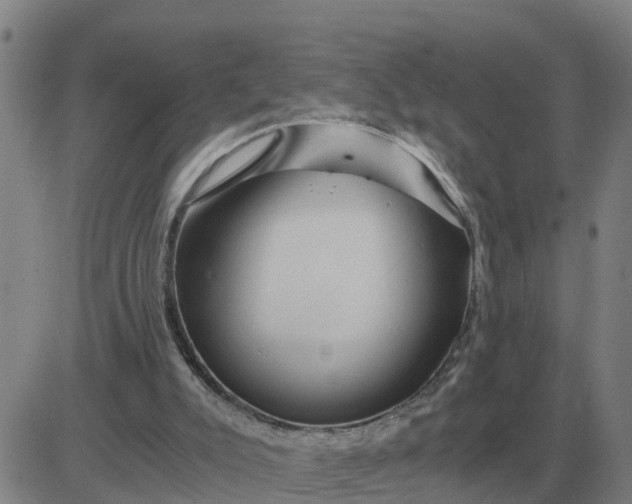 X0000084030007200703022134