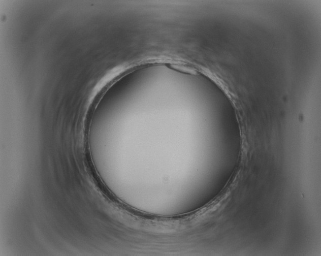 X0000084030008200703022134