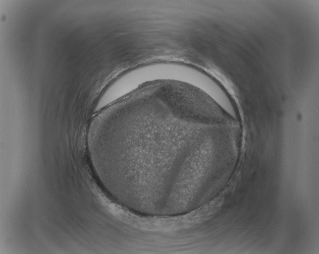 X0000084030009200703022134