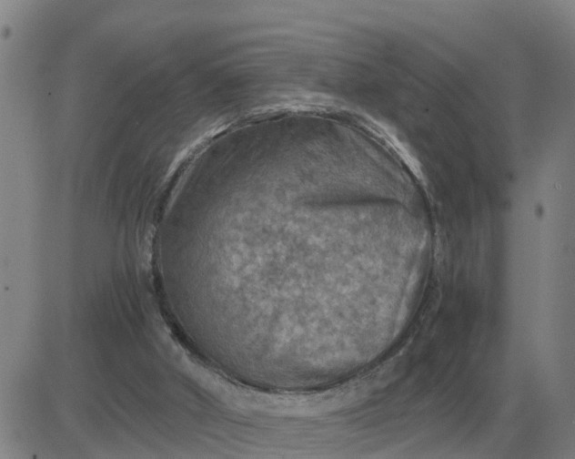 X0000084030010200703022134