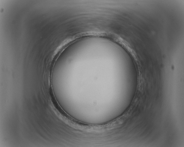 X0000084030011200703022134