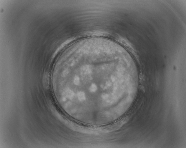 X0000084030012200703022134