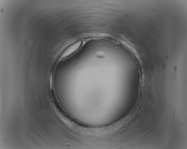 X0000084030013200703022134