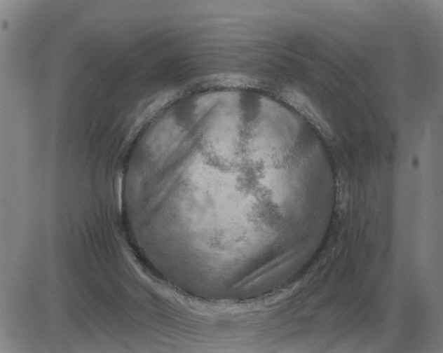 X0000084030014200703022134