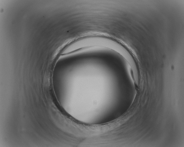 X0000084030015200703022134