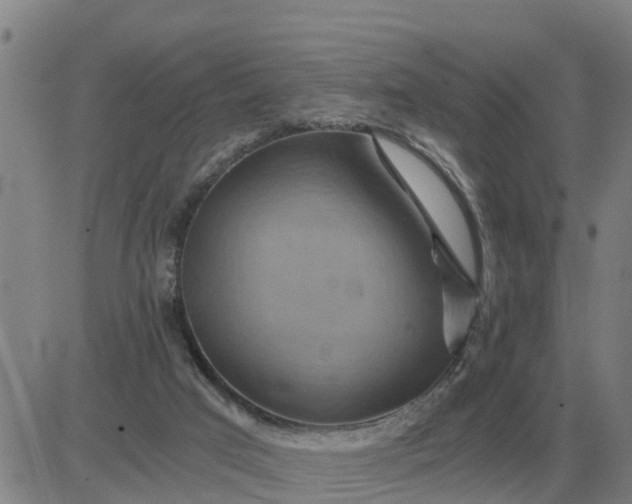 X0000084030017200703022134