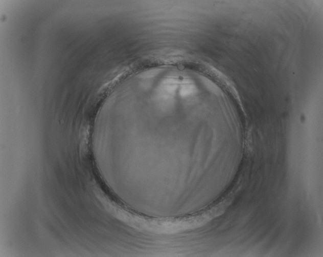 X0000084030018200703022134