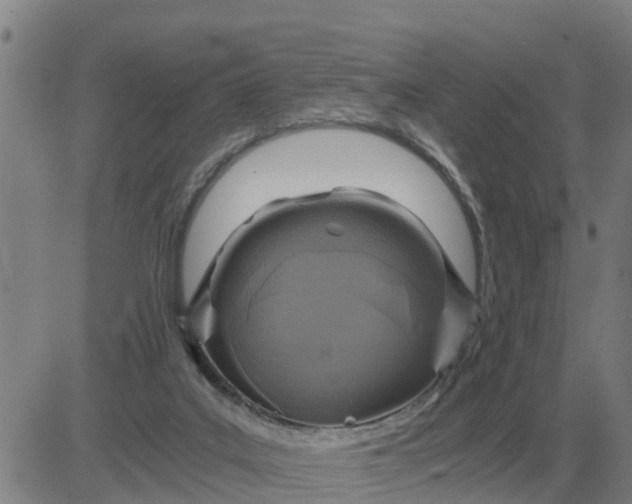 X0000084030019200703022134