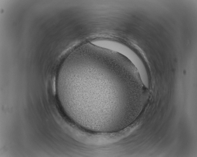 X0000084030020200703022134